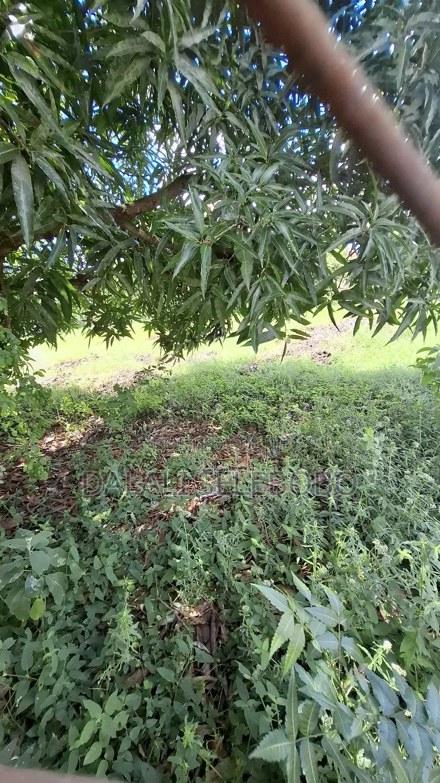 Corner Plot at Mbweni and House Inside