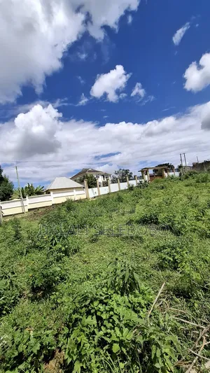 Fenced Plot at Mbweni Teta Very Nice Its Quite