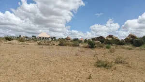 Viwanja Viwili Vinauzwa Pamoja Iyumbu East Kwa Venny