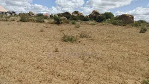 Viwanja Viwili Vinauzwa Pamoja Iyumbu East Kwa Venny