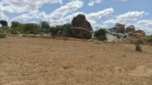 Viwanja Viwili Vinauzwa Pamoja Iyumbu East Kwa Venny