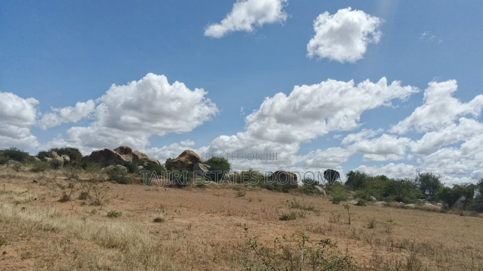 Viwanja Viwili Vinauzwa Pamoja Iyumbu East Kwa Venny