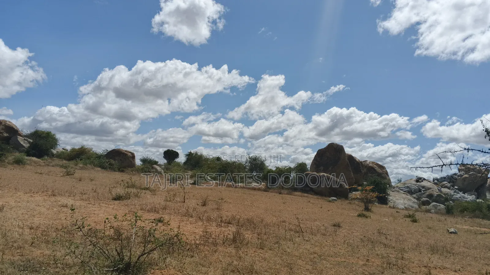 Viwanja Viwili Vinauzwa Pamoja Iyumbu East Kwa Venny