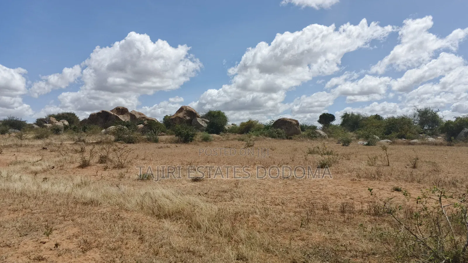 Viwanja Viwili Vinauzwa Pamoja Iyumbu East Kwa Venny