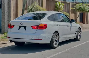 BMW 3 Series 320i RWD 2014 Pearl