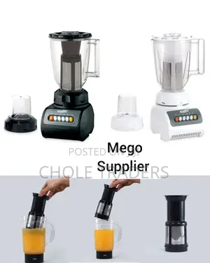 2 in 1 Blender With a Juicer Filter (300w)