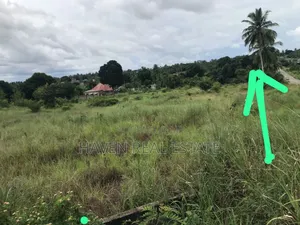 4 Acres Eneo La Viwanda Linauzwa Chanika