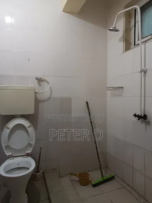 3bdrm Apartment in Kariakoo for rent