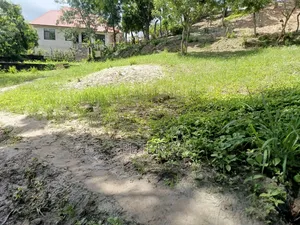 Kiwanja Kimara Korogwe Karibu Na Lami