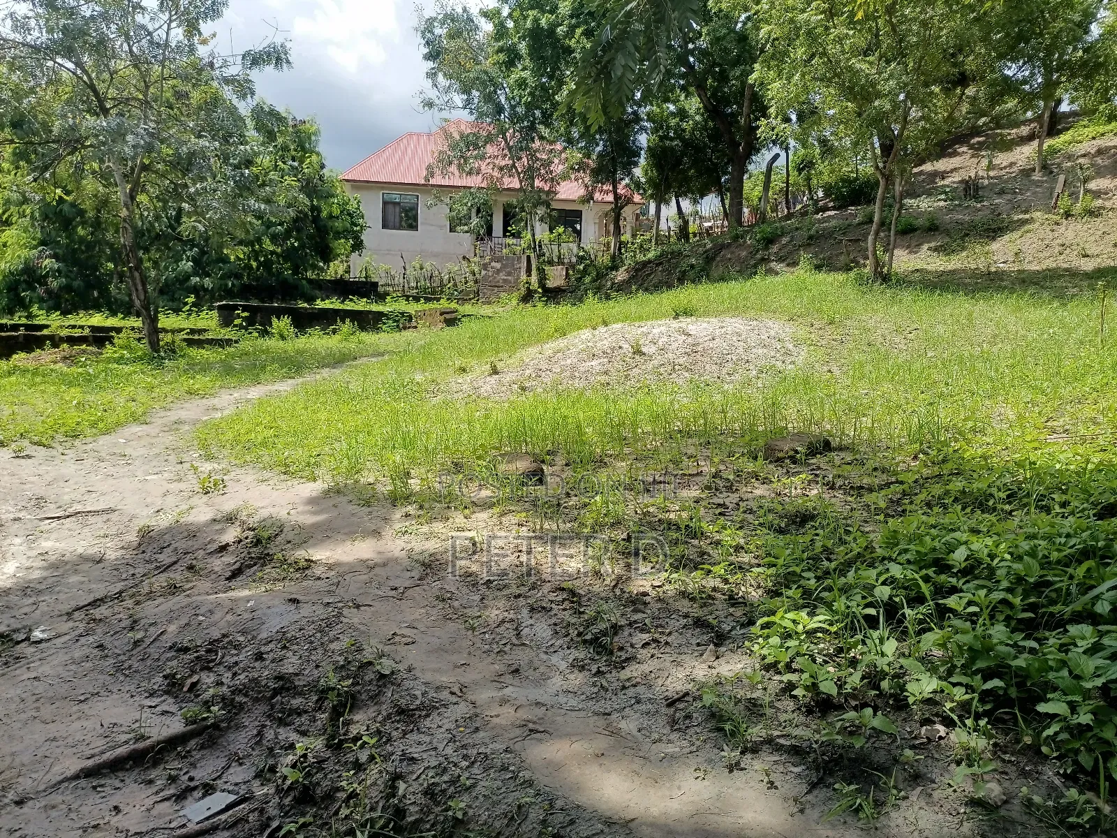 Kiwanja Kimara Korogwe Karibu Na Lami