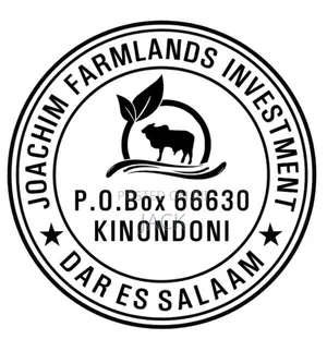 Mihuri Ya Kisasa