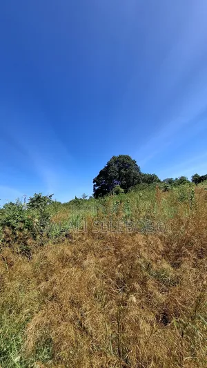 8hector Industry Plot at Kibaha Misugusugu