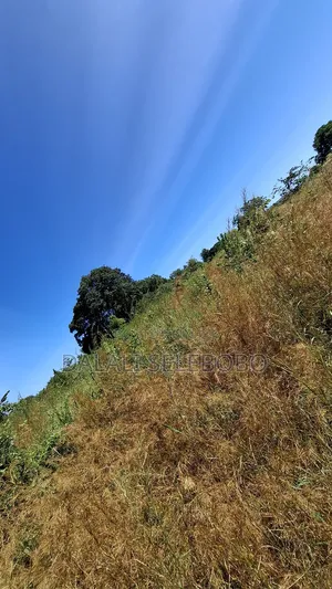 8hector Industry Plot at Kibaha Misugusugu