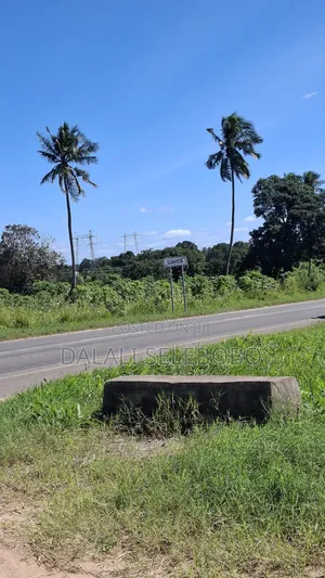 8hector It Look at Tarmac Main Road Very Nice Area