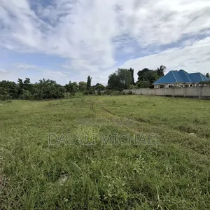 Kiwanja Kinauzwa Bunju Kairuki