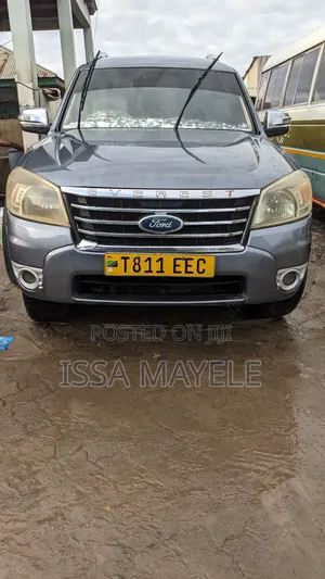 Ford Everest 2008 Gray