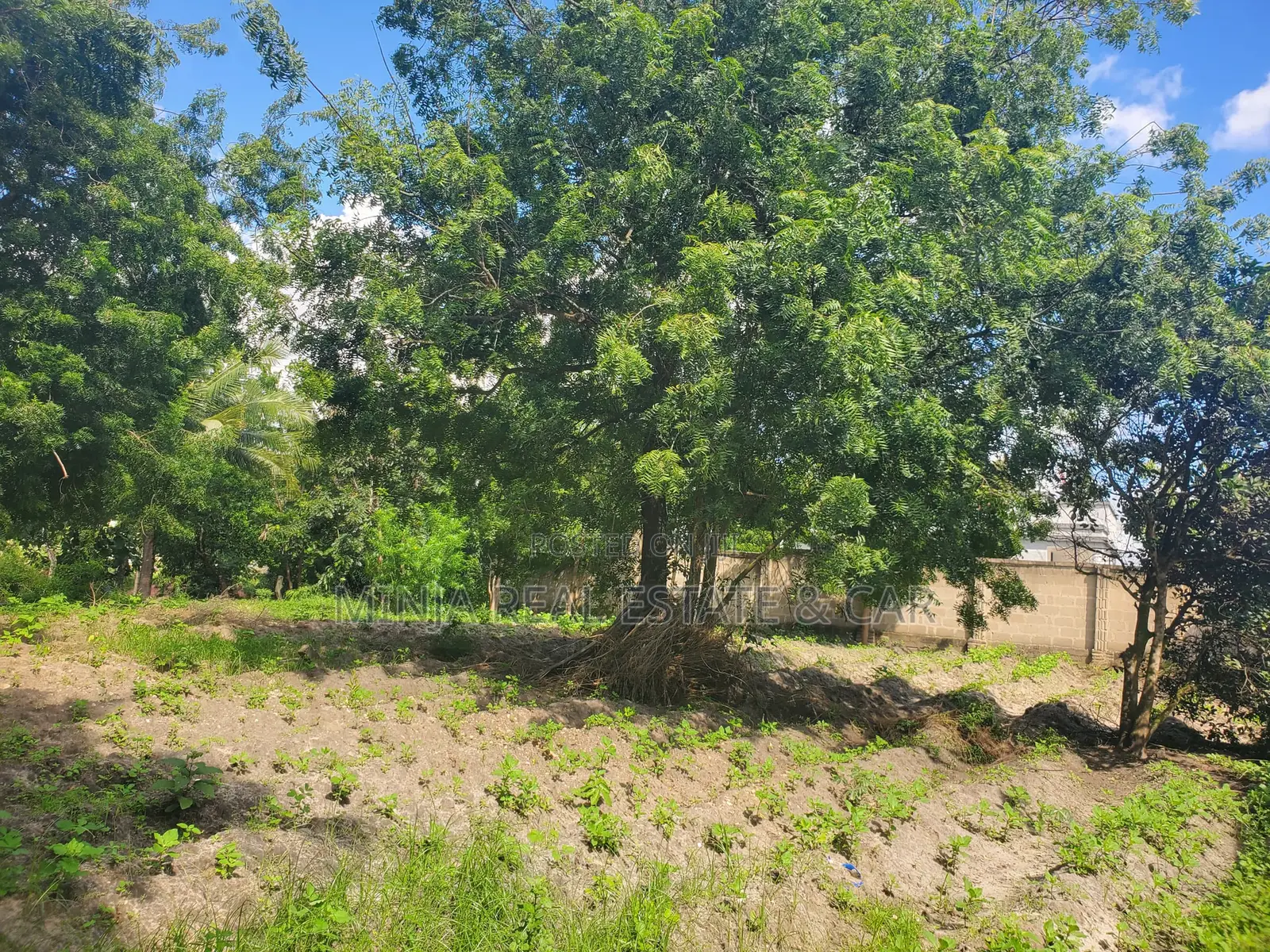 Eneo Linauzwa Goba Kulangwa