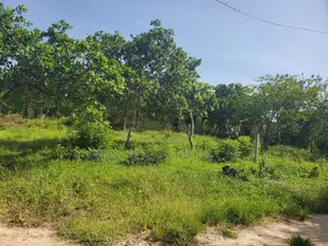 Eneo Linauzwa Madale Mivumoni