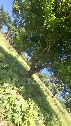Plot 60,702 Acres for Sale in Kibaha