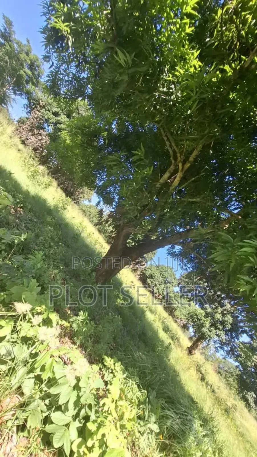 Plot 60,702 Acres for Sale in Kibaha