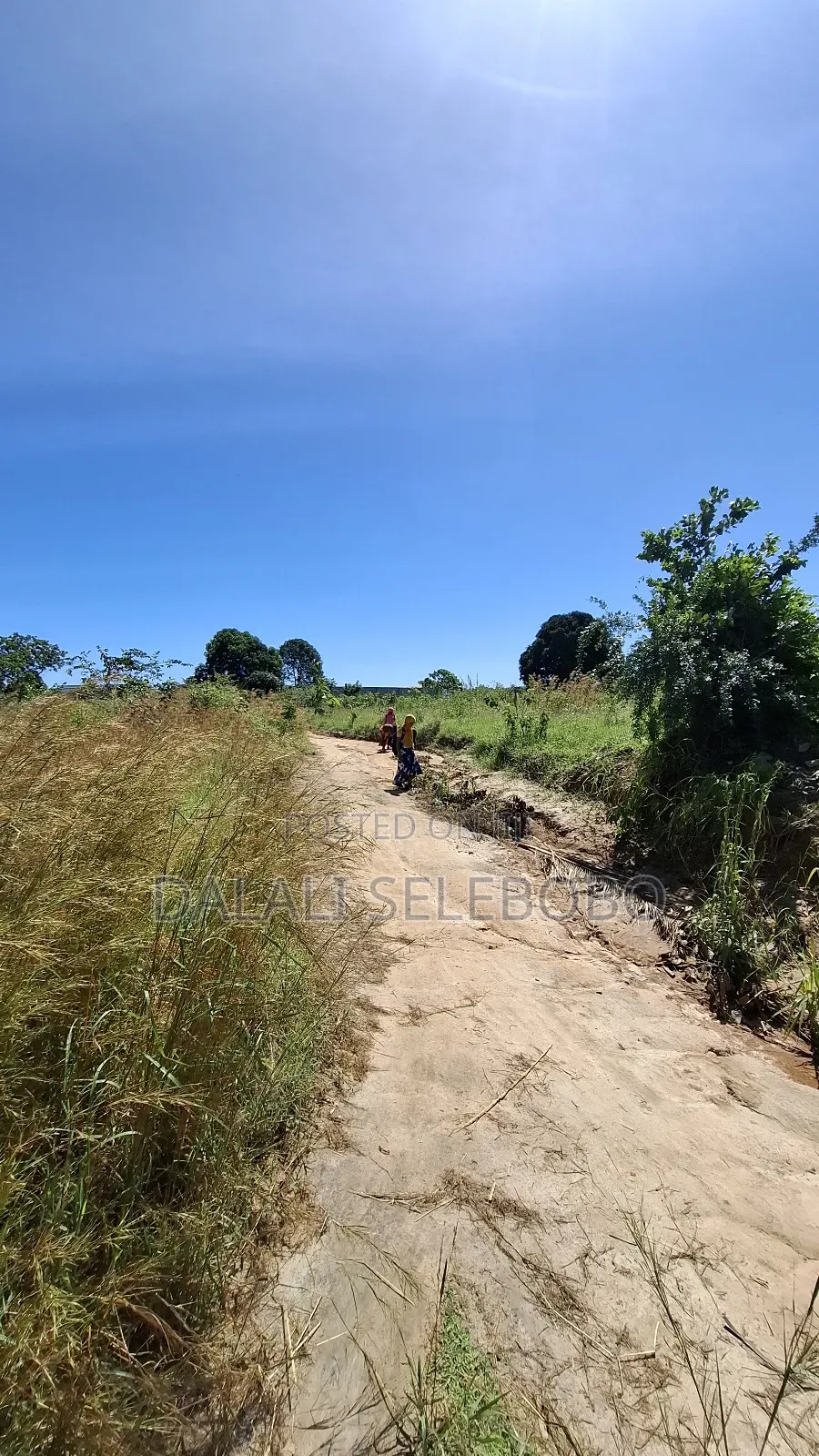 Plot at Kibaha Visiga Hector 32 Better 4 Investment