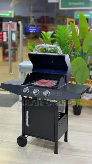 Outdoor BBQ Gas Grill With Trolley