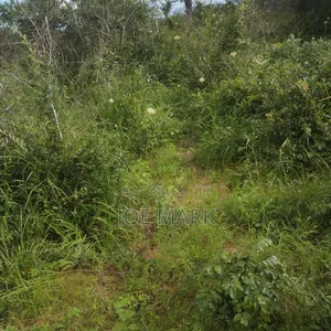 Shamba Linauzwa Vigwa