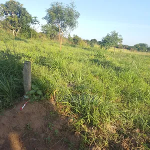 Viwanja Viwanja Kibaha
