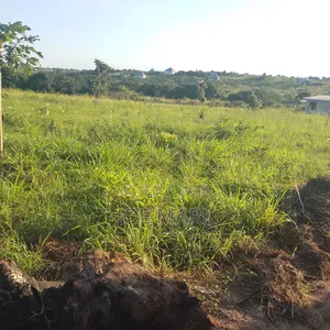 Viwanja Viwanja Kibaha
