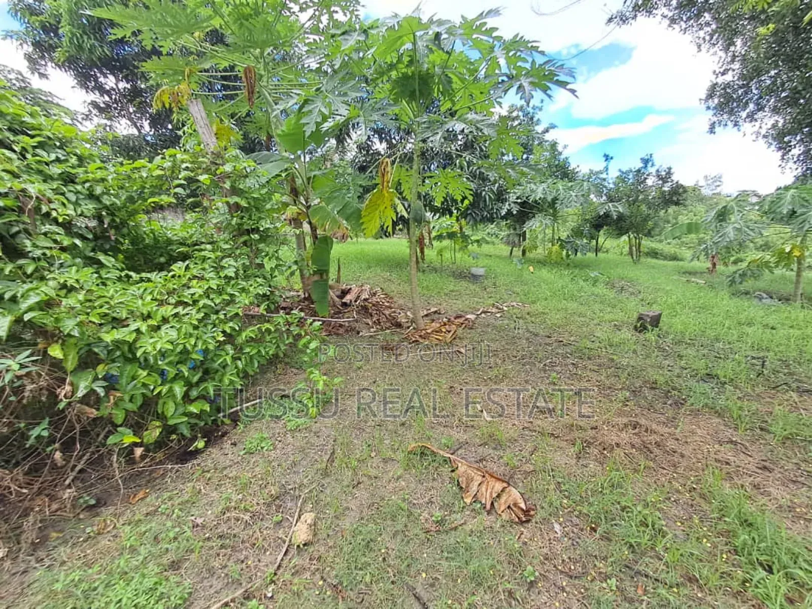 4bdrm House in Kibamba Shule Dsm for sale