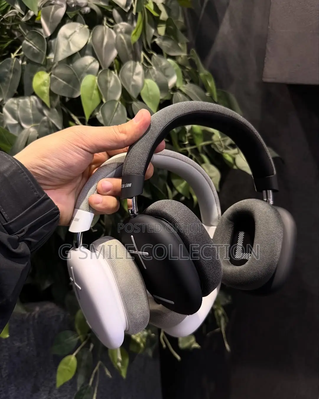 Greenlion Echo Max Headphones