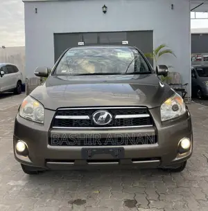 Toyota RAV4 2010 Brown