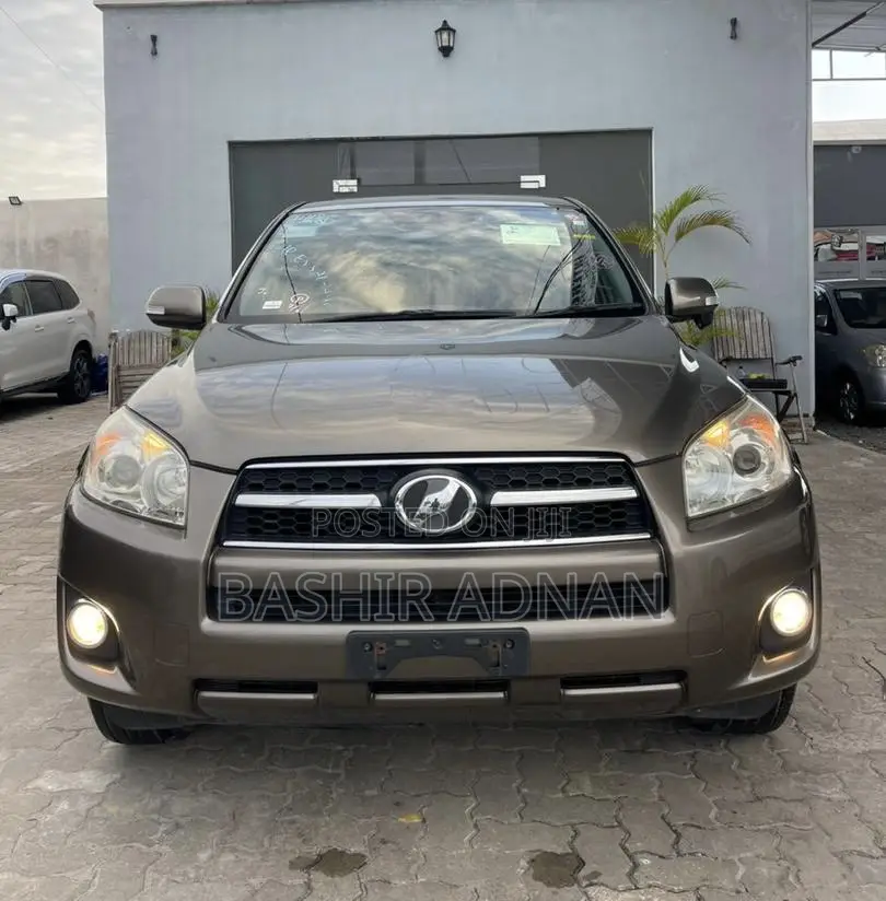Toyota RAV4 2010 Brown