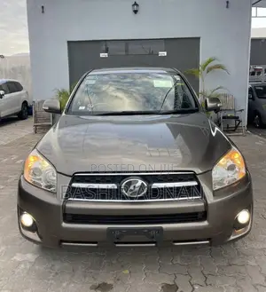 Toyota RAV4 2010 Brown