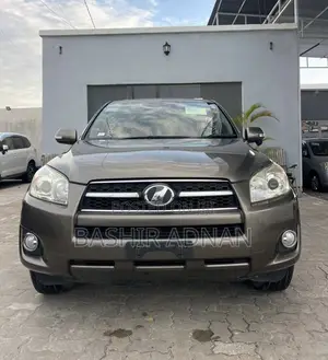 Toyota RAV4 2010 Brown