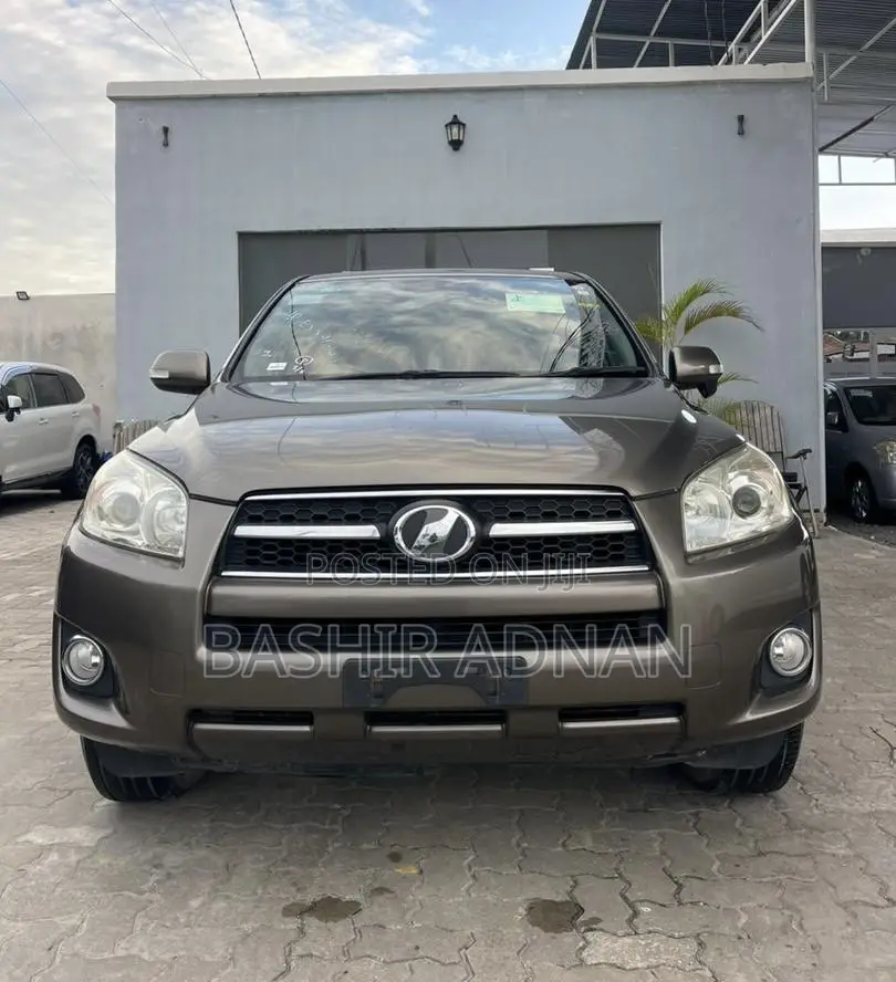 Toyota RAV4 2010 Brown