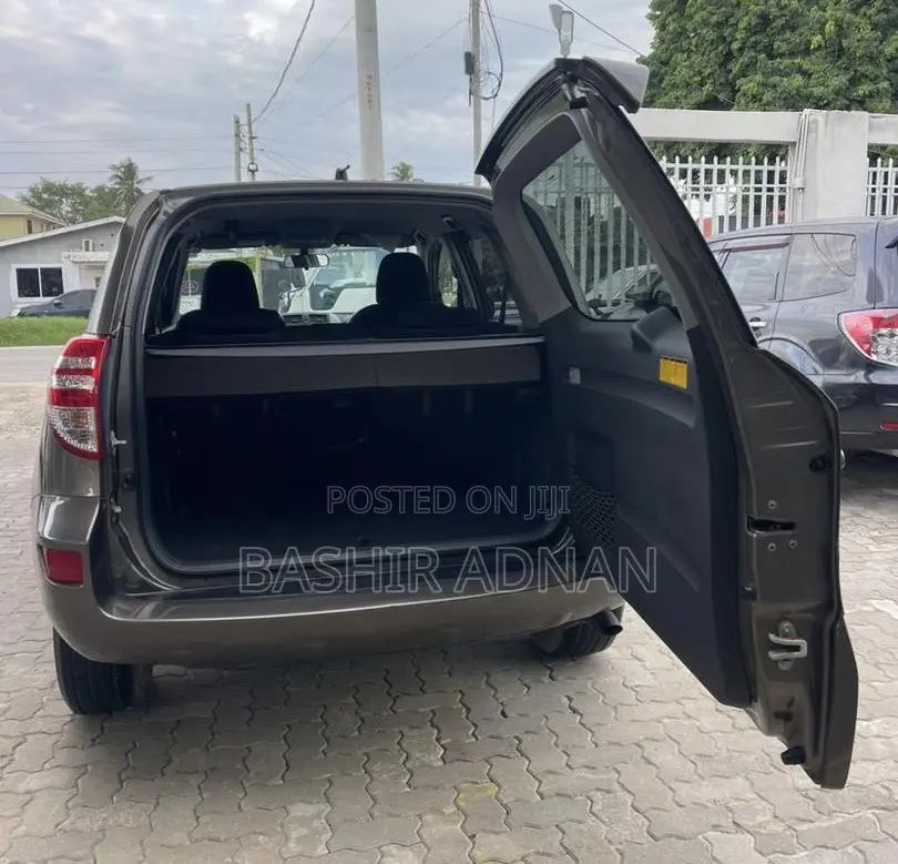 Toyota RAV4 2010 Brown