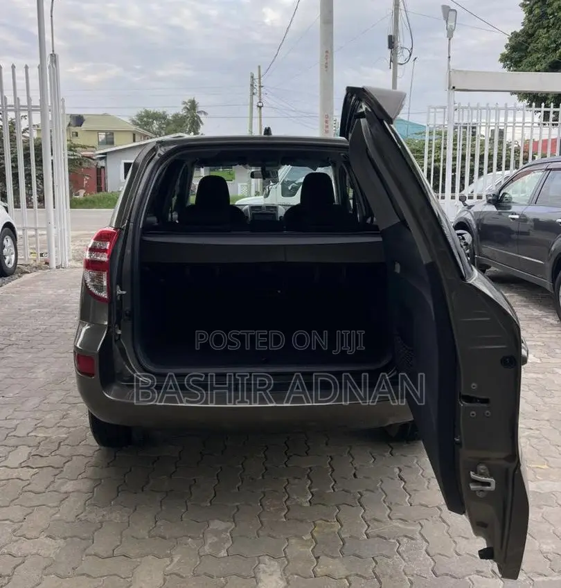 Toyota RAV4 2010 Brown