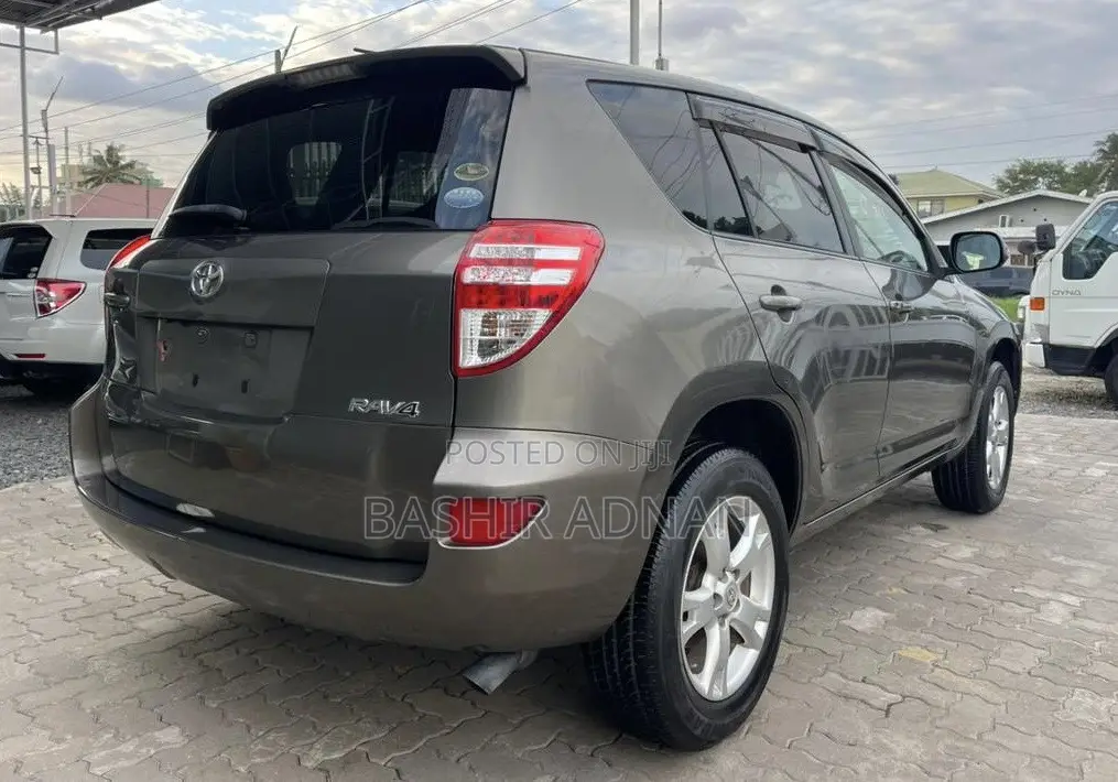 Toyota RAV4 2010 Brown