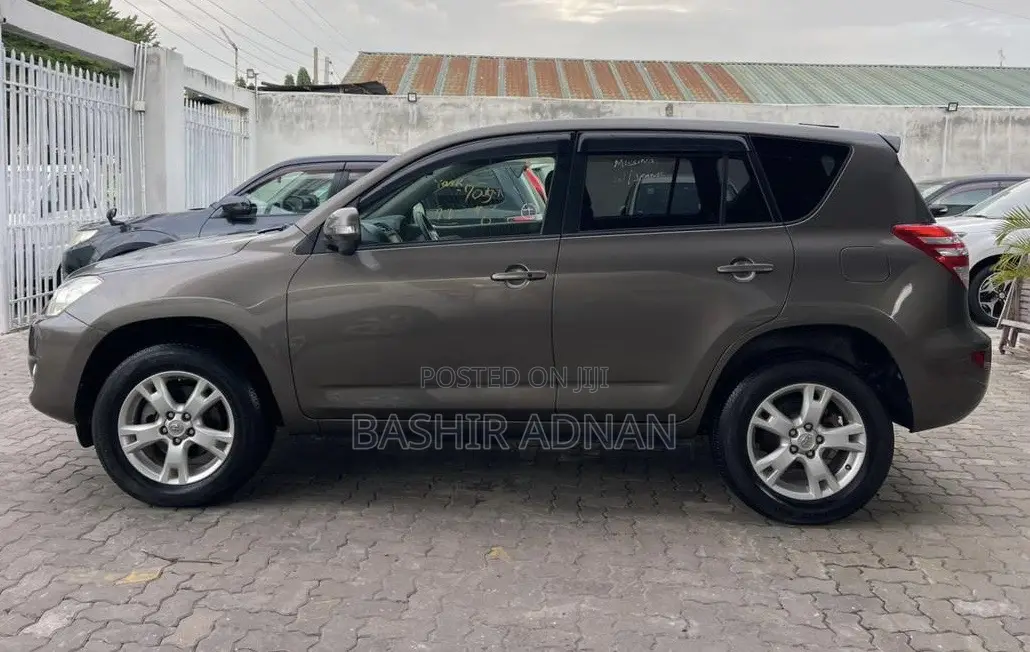 Toyota RAV4 2010 Brown