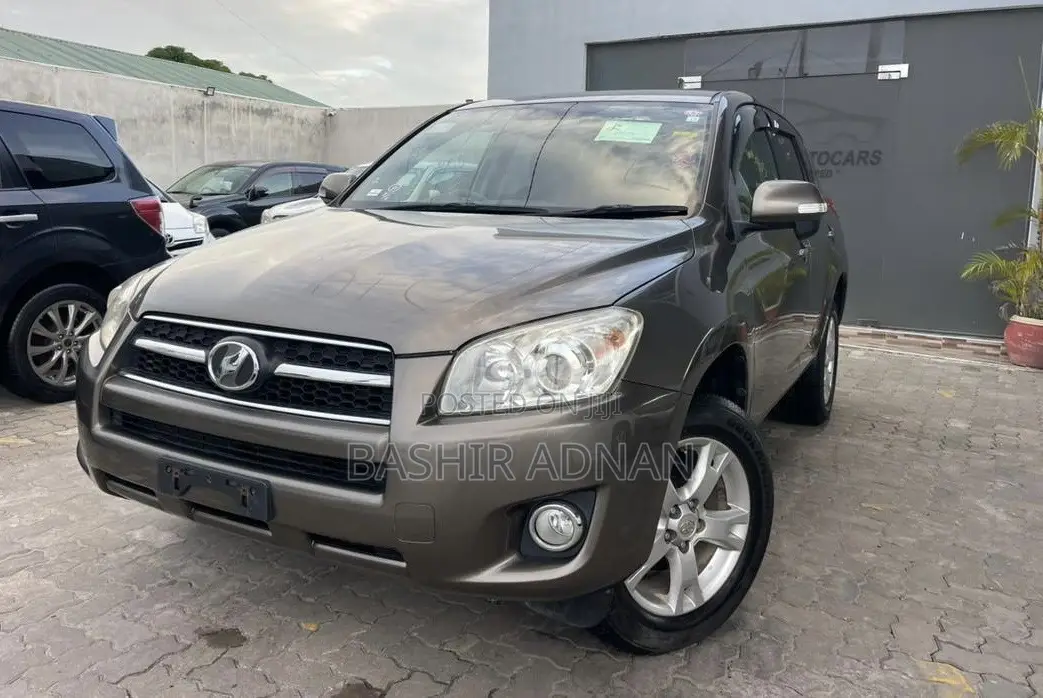 Toyota RAV4 2010 Brown