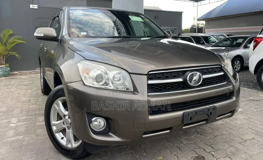 Toyota RAV4 2010 Brown