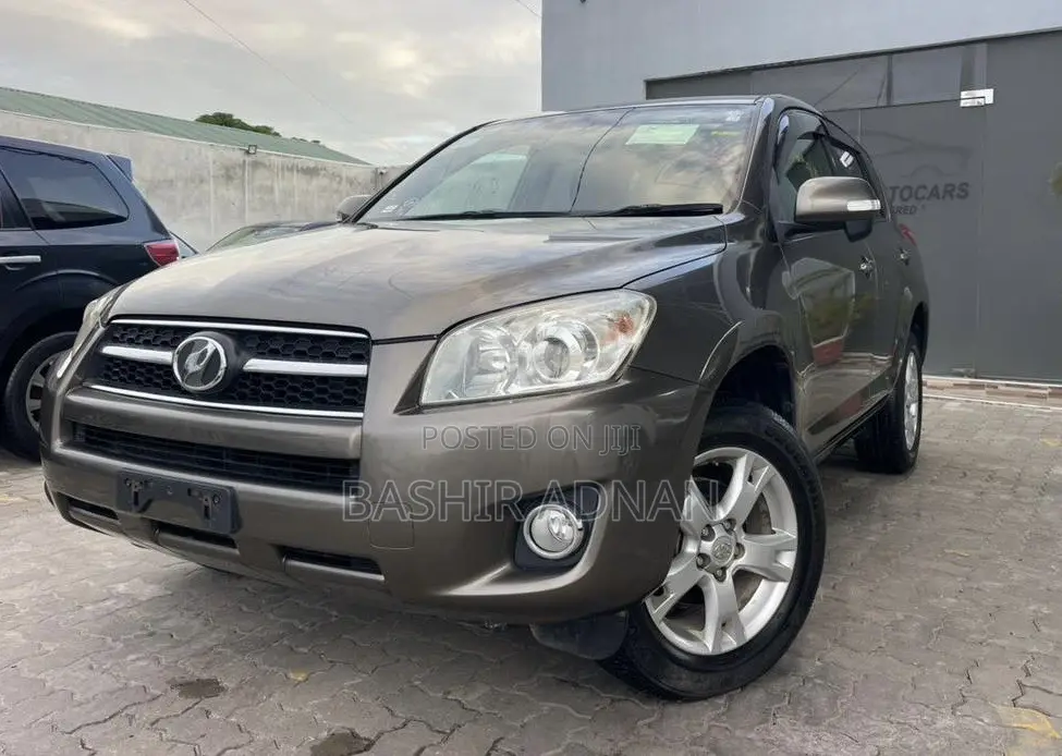 Toyota RAV4 2010 Brown