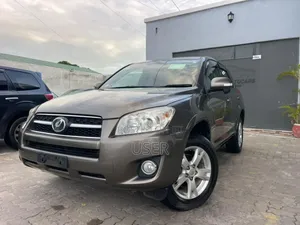 Toyota RAV4 2010 Gray