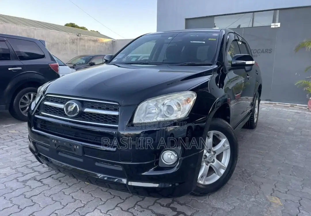 Toyota RAV4 2010 Matt Black