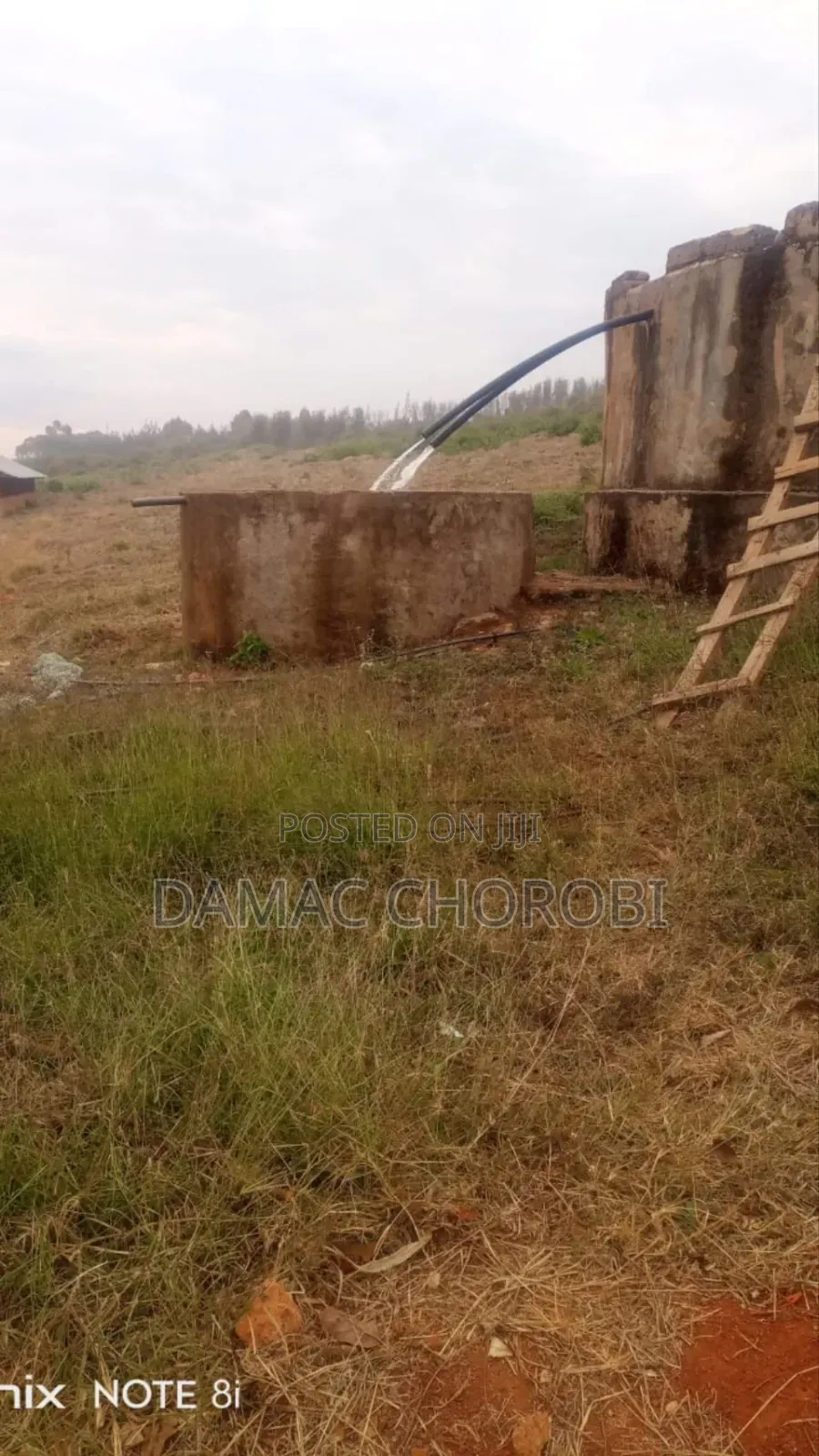 Shamba Kubwa La Palachichi Linauzwa Njombe