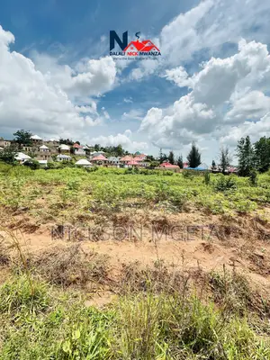Plot for Sale