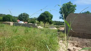 Kiwanja Kinauzwa Kiwangwa Bagamoyo
