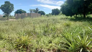 Kiwanja Kinauzwa Kiwangwa Bagamoyo