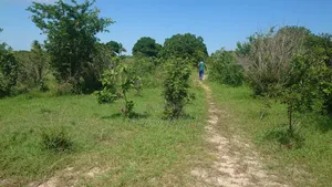 Shamba La Ekri 50 Fukayosi Bagamoyo